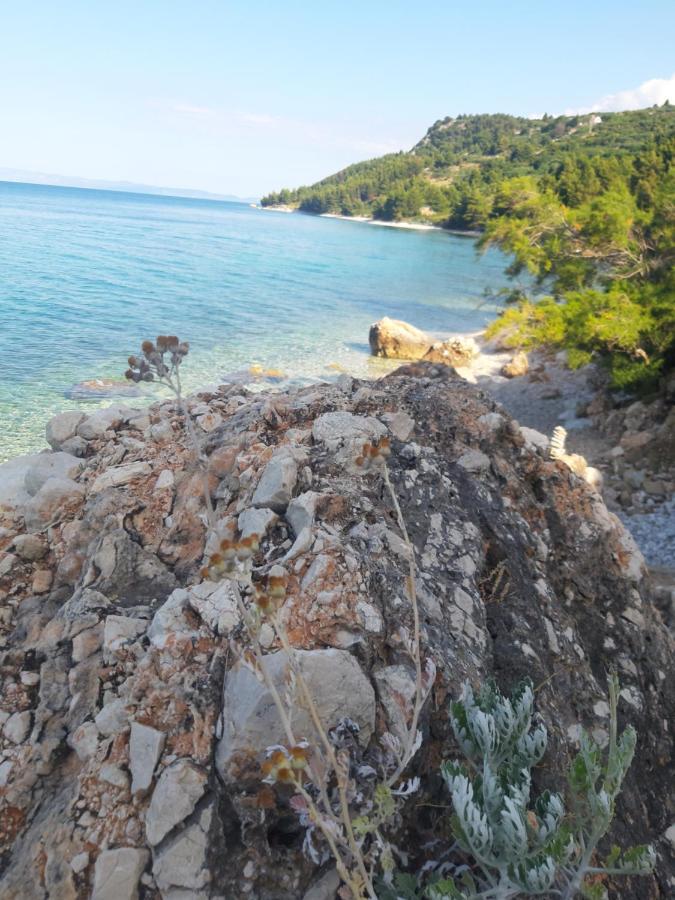 Apartments Knezic Igrane Εξωτερικό φωτογραφία